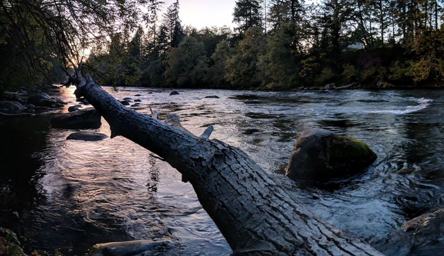 Large Family Friendly House on the Santiam River w/Hobbit Door! in Mill City