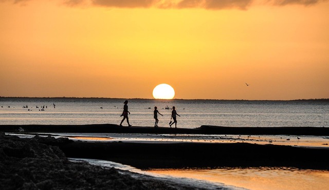 Luxurious Private Caribbean Oceanfront, Breathtaking Ocean Views. in Puerto Morelos