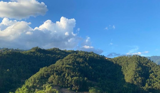 Nhà trên đồi - Windy Hill