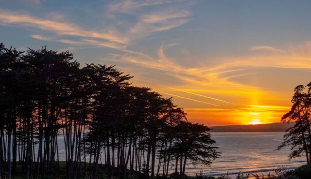 Ocean View Studio Condo at Seascape Resort in Aptos
