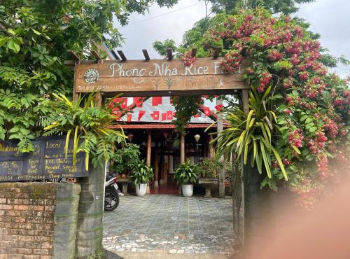 Phong Nha Rice Field Homestay