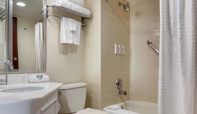 Radisson Hotel Detroit Metro Airport in Romulus