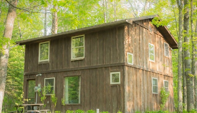 Rustic Two Level Tree Lodge Surrounded By The Forest With Fireplace And Fire Pit in McGrath