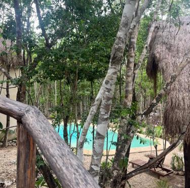 Sak in Tulum