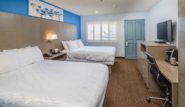 Silicon Valley Inn in Belmont