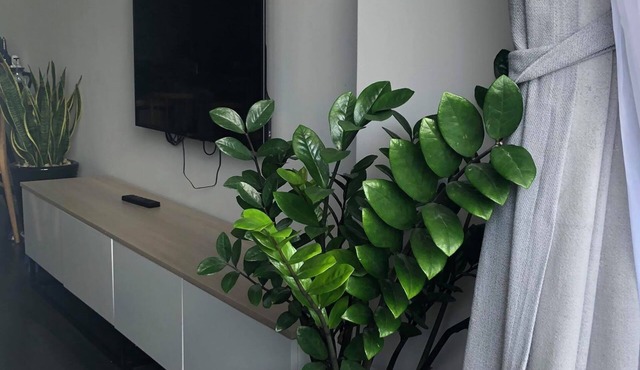 Somnus Beachfront Apartment Nha Trang
