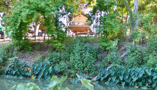 Son's Rio Cibolo Birdhouse Cabin #22 Brand New Cabins Overlooking Beautiful Spring Fed Creek! in Marion