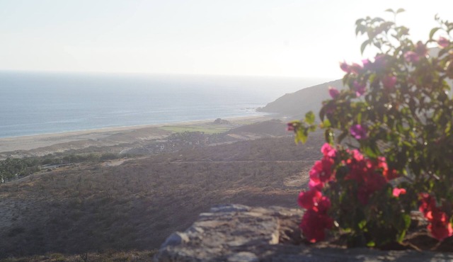 Spacious 4 BR sunset beach ocean home with infinity pool, Whale watch, Golf in Cabo San Lucas