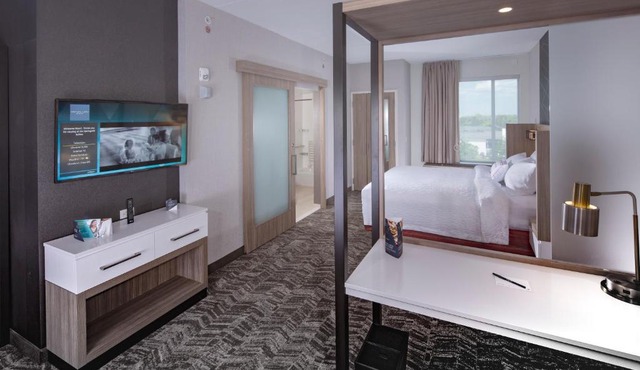 Springhill Suites By Marriott Newark Downtown in Newark