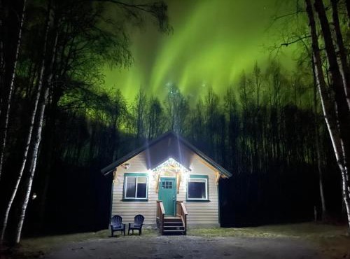 Talkeetna Mount Dall Cottage with WiFi&laundry in Talkeetna