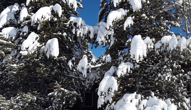 The Firehole Cabin 418, 6 Bedrooms 4 Baths Sleeps up to 18 Yellowstone Entrance 2 Minutes Away in West Yellowstone