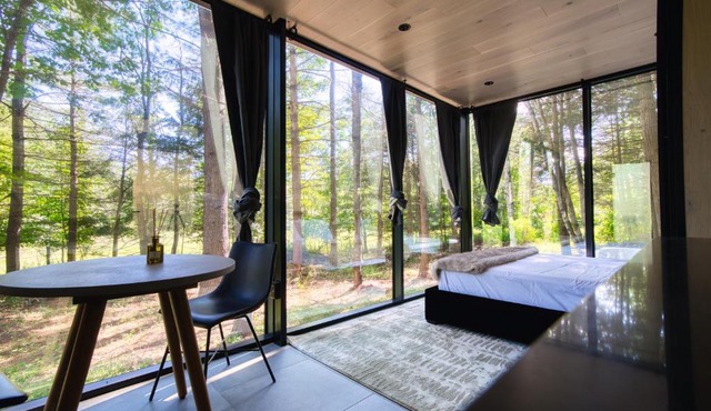 The Haüs Windham - Spacious Suites, Gym, Mountain Views! in Windham