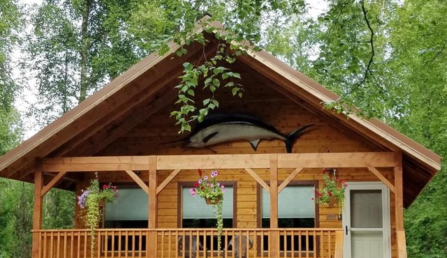 The Marlin Cabin in Talkeetna