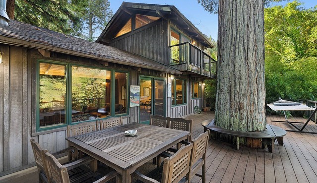 The Old Timer ~ Classy Cabin On River, Near Golf, Dog Friendly! in Monte Rio