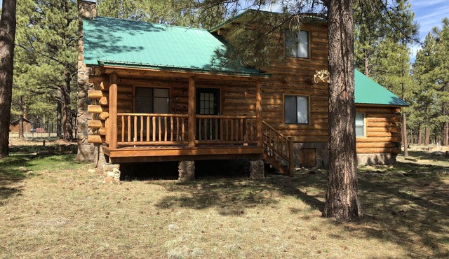 This beautiful secluded cabin definitely lives up to it's name! in Greer