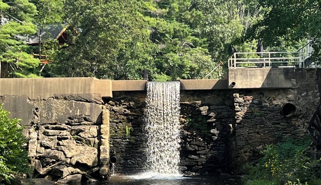 Tranquil Lakeside Waterfall Retreat-Fall leaves will be starting soon! in Flat Rock