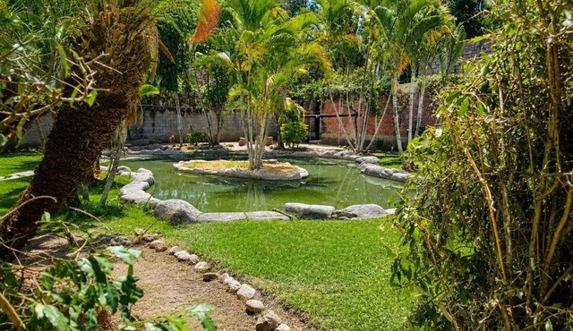 Tropical oasis near Dorados Oaxtepec and Six Flags in Yautepec