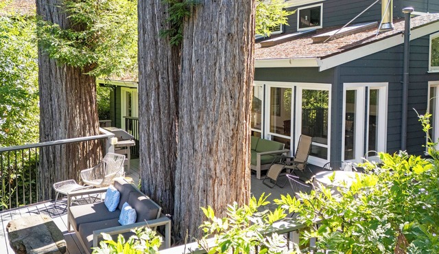 True North: Riverfront 3 Bed 2.5 Bath, Hot Tub, Private Beach, Boats, + Pets OK in Monte Rio