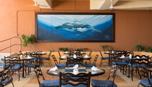 Vibrant Studio Stay Near the Best of Cabo in San José del Cabo