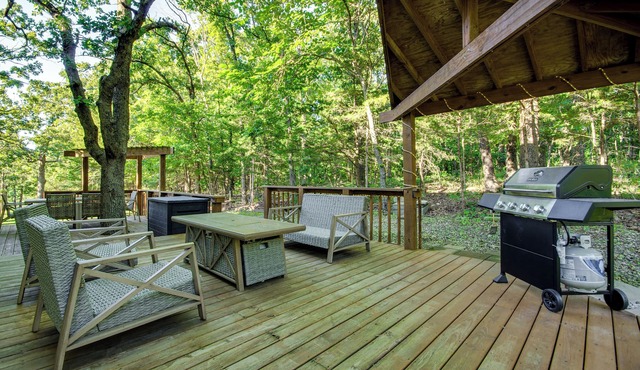 Walk to Pomme de Terre Lake: Pet-Friendly Escape in Flemington