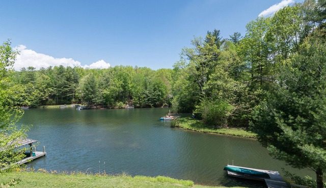 Welcome to Water's Edge: Family-Friendly, Dog-Friendly Adventure Awaits! in Brevard