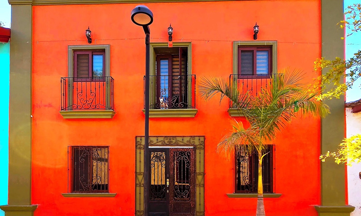 Sin Nombre Loc. San Blas Hotel | Casa del Arbol