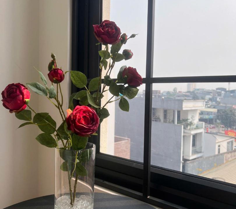 Viet Tri Apartment | Khách sạn Solea VIỆT TRÌ
