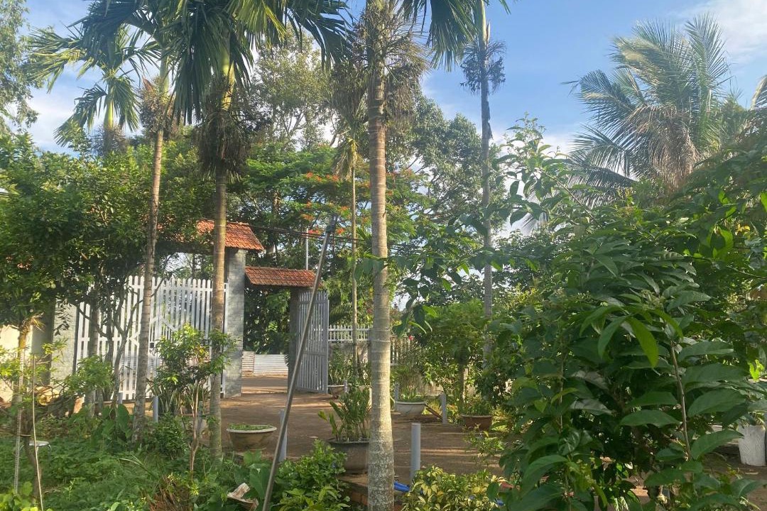 Buon Ma Thuot House | The Vyc Home