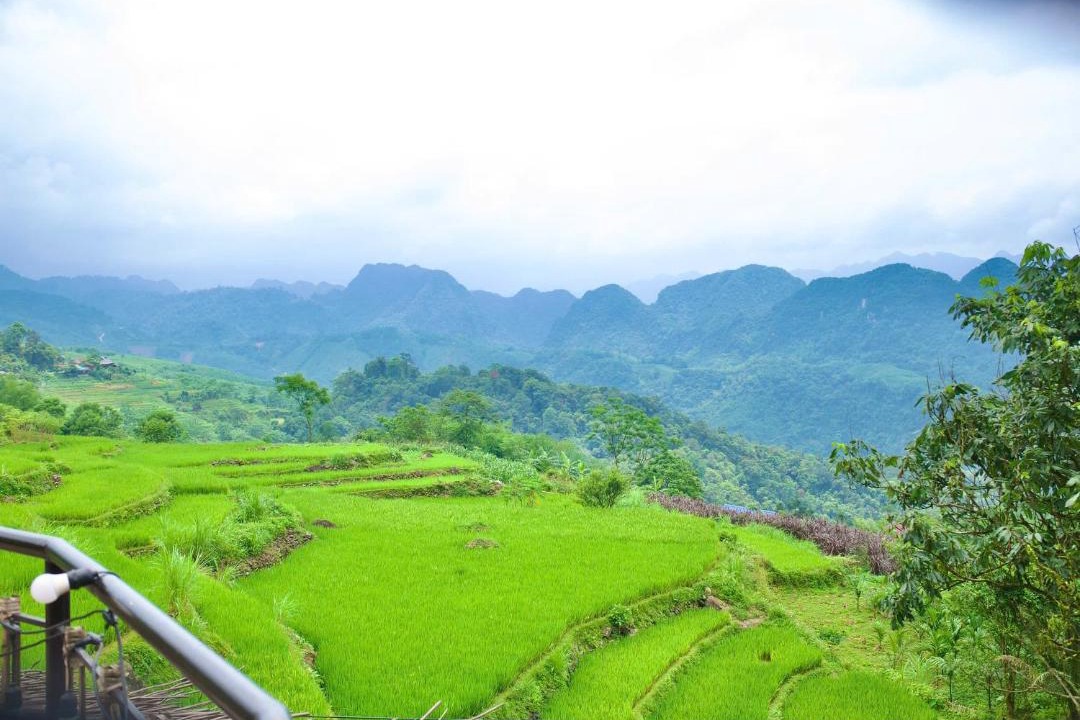 Pu Long Nature Reserve Hotel | Puluong Qui E Ora