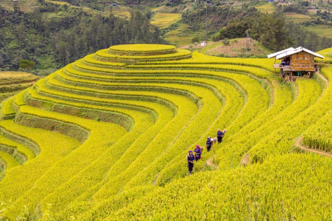 Mu Cang Chai House | Homestay Chù Chỏ