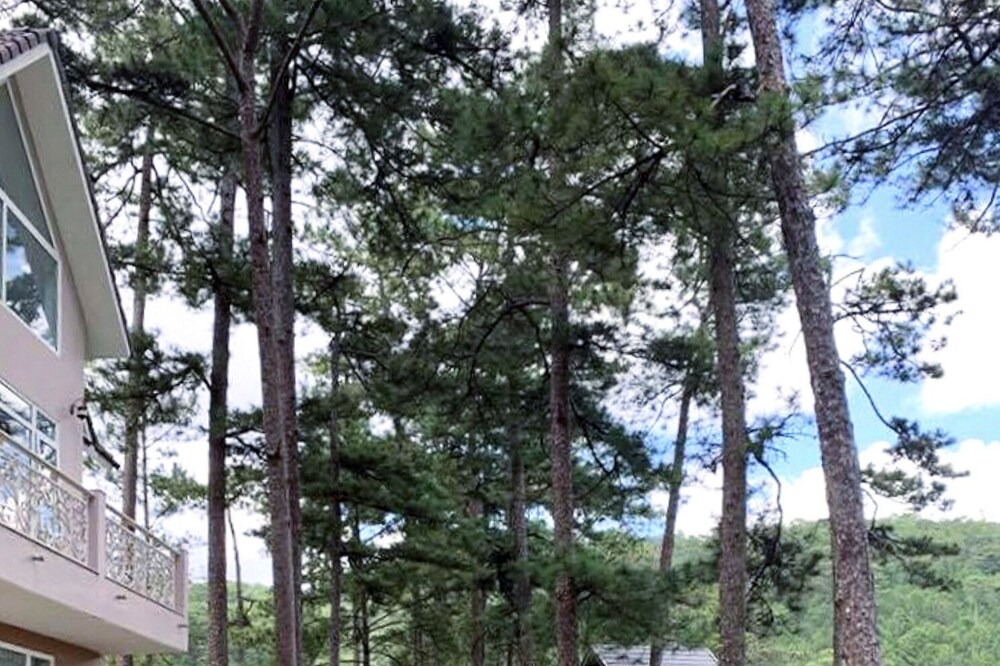 Photo of Outdoor in Da Lat