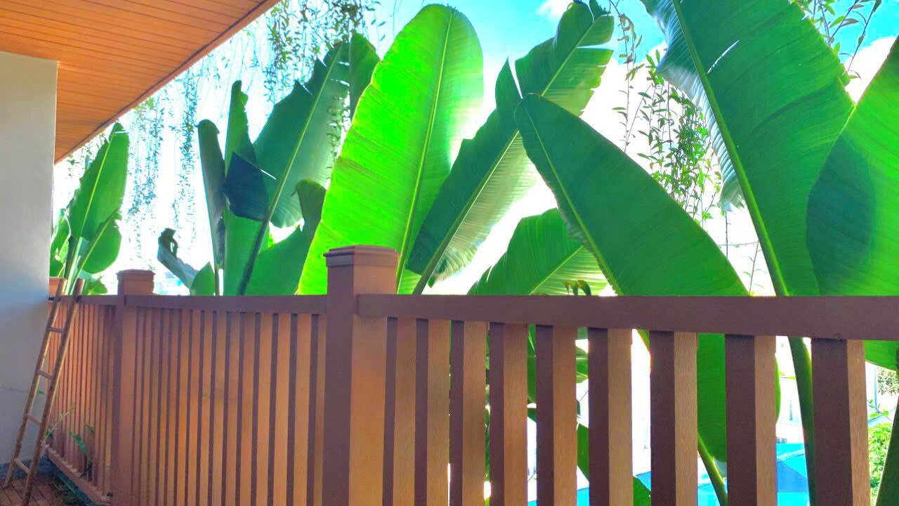 Photo of Patio Balcony in Con Son