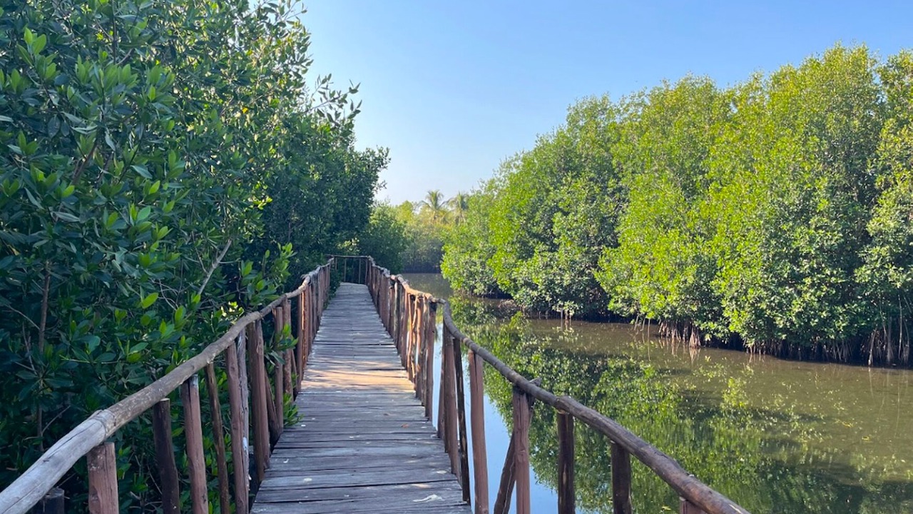 Photo of Outdoor in Tonala