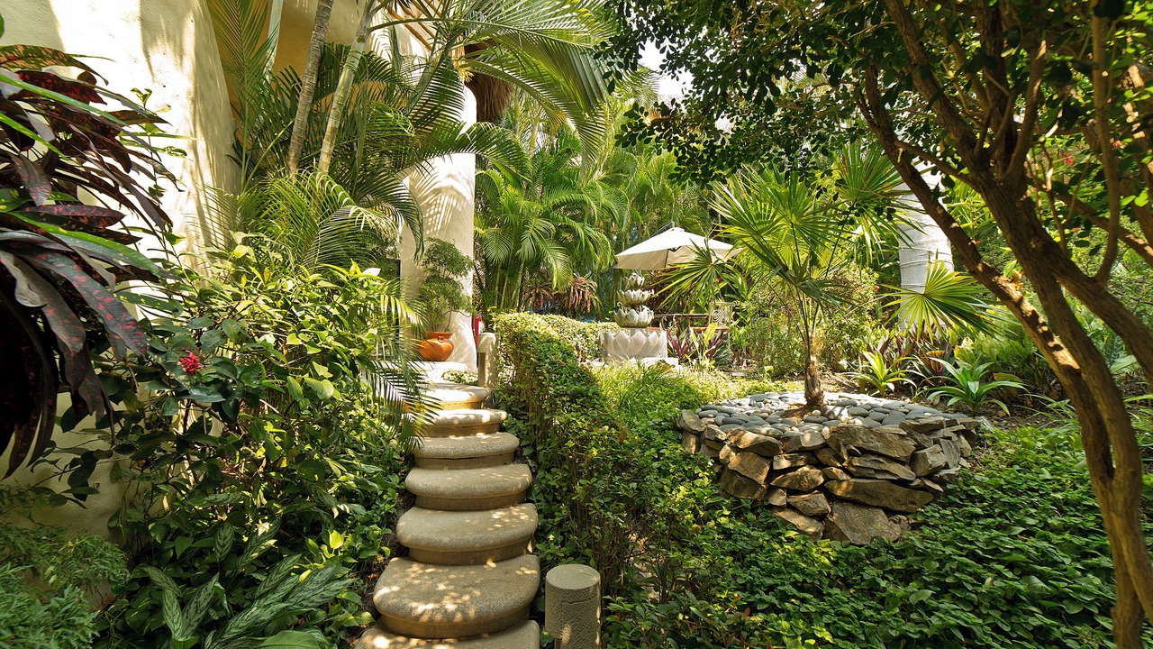 Photo of Others in Zihuatanejo