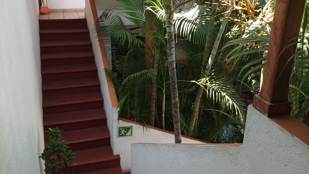 Photo of Others in Centro