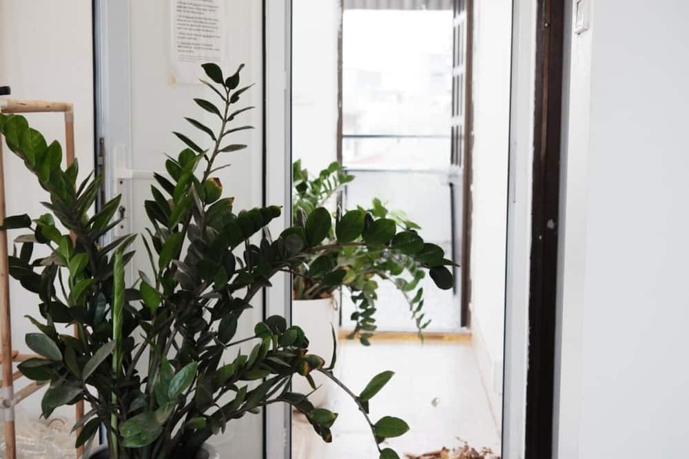 Photo of Others in Hang Dao