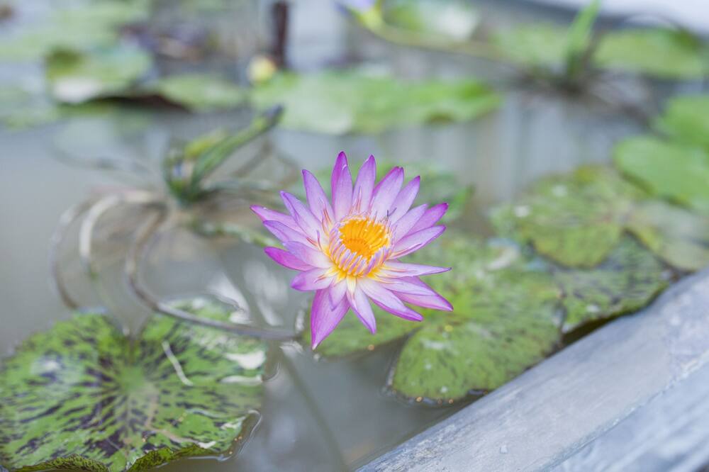 Photo of Outdoor in Hai Chau