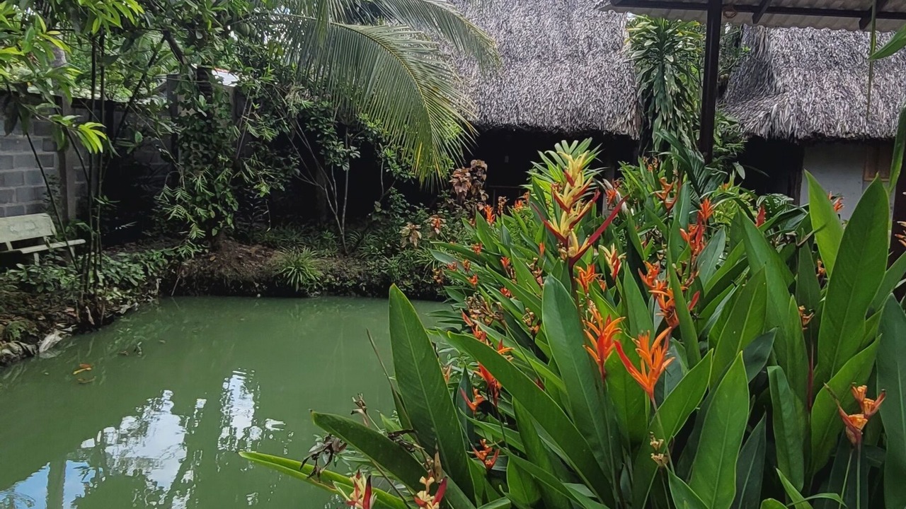 Photo of Outdoor in Chau Thanh