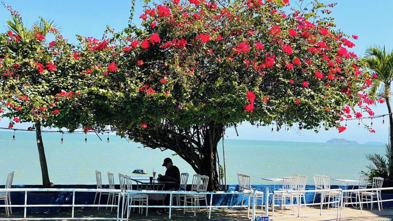Photo of Outdoor in Quy Nhon