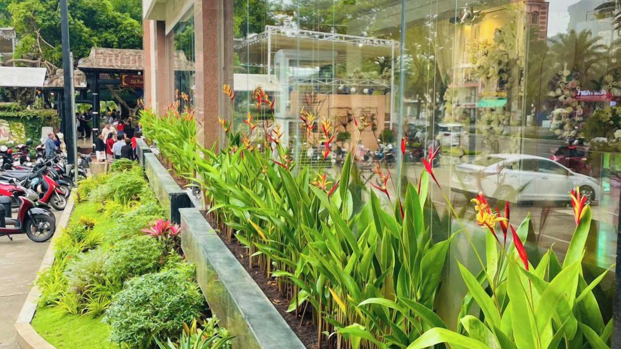 Photo of Outdoor in Quy Nhon