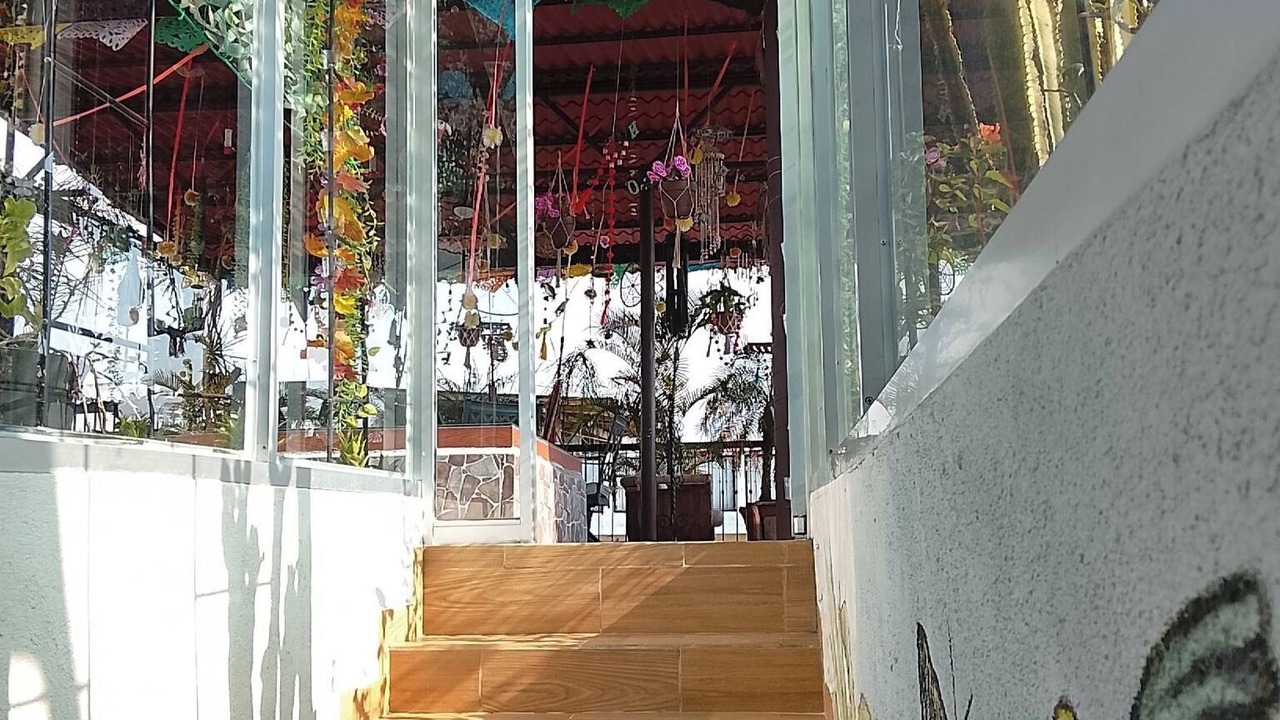 Photo of Outdoor in Xilitla