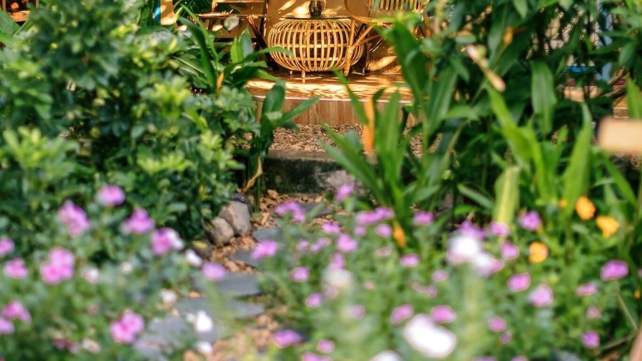 Photo of Outdoor in Tuy Hoa