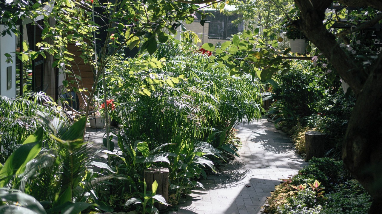 Photo of Outdoor in Da Lat