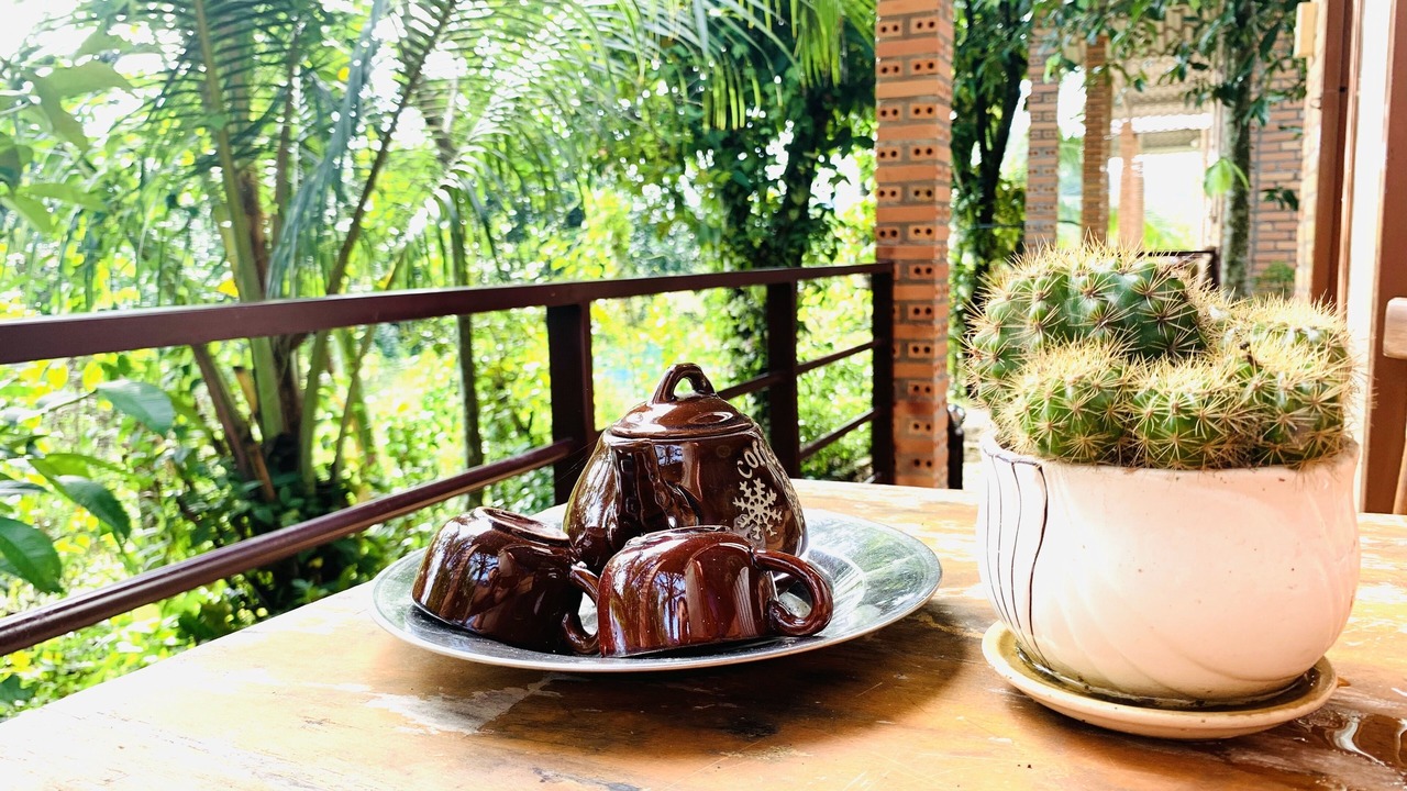 Photo of Outdoor in Quan Tom