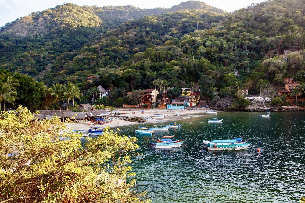 Photo of Others in Boca de Tomatlan