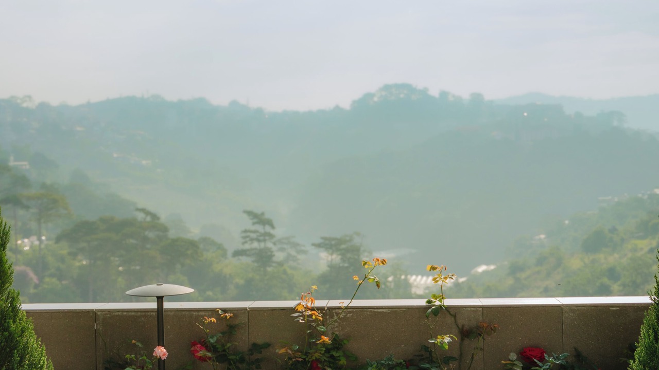 Photo of Others in Da Lat