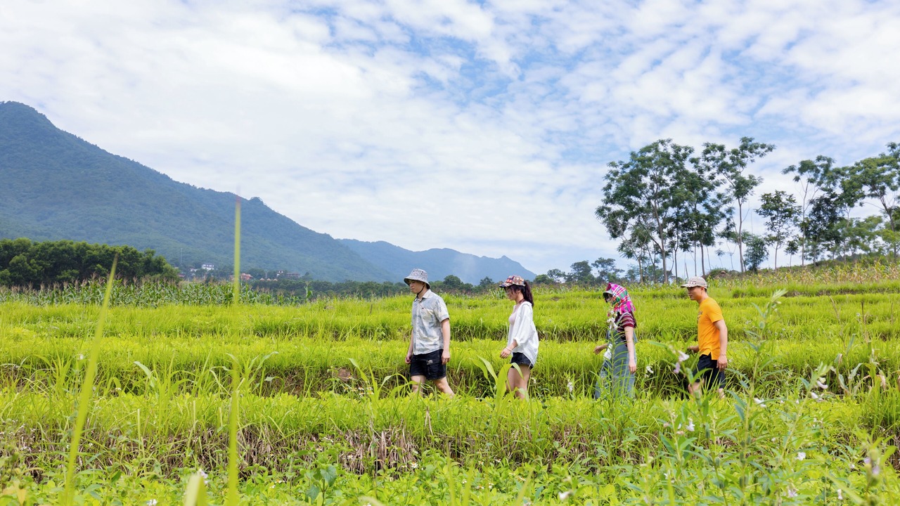 Photo of Outdoor in Pu Long Nature Reserve