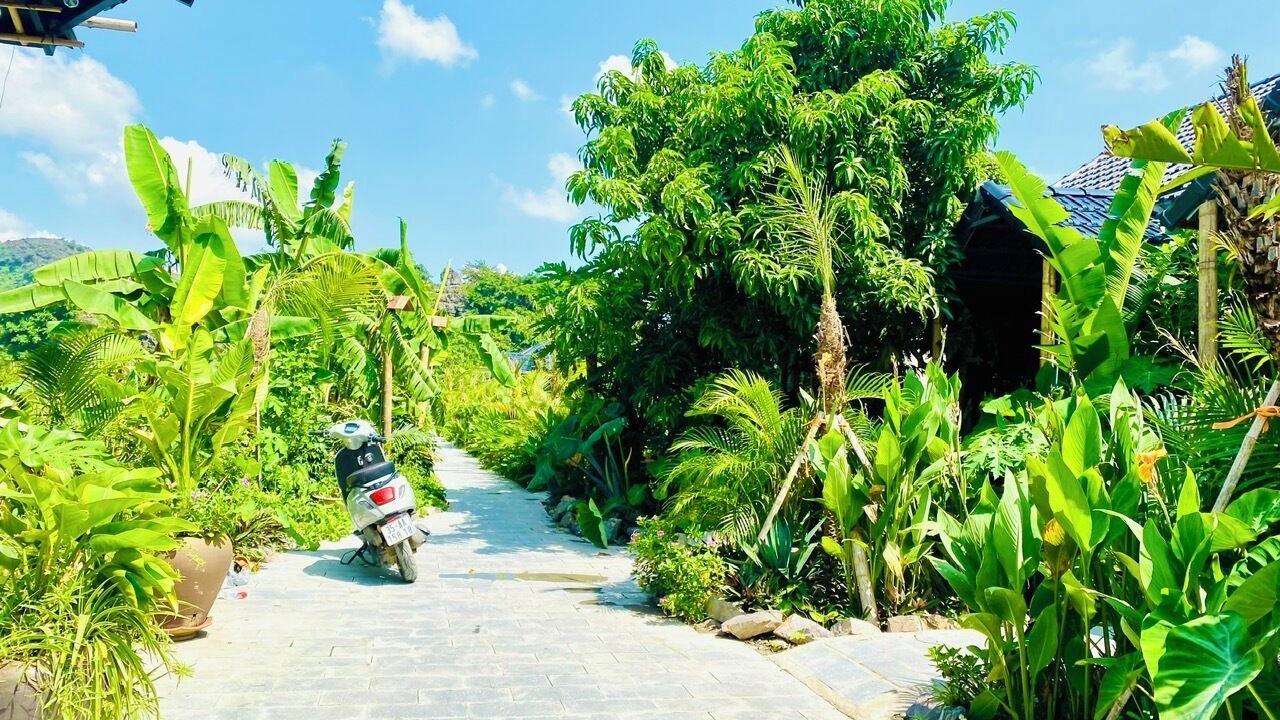 Photo of Outdoor in Hoa Lu