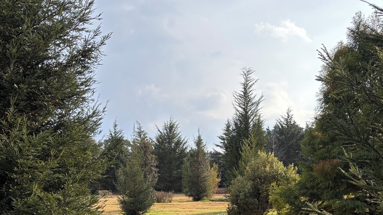 Photo of Outdoor in Jilotepec de Abasolo