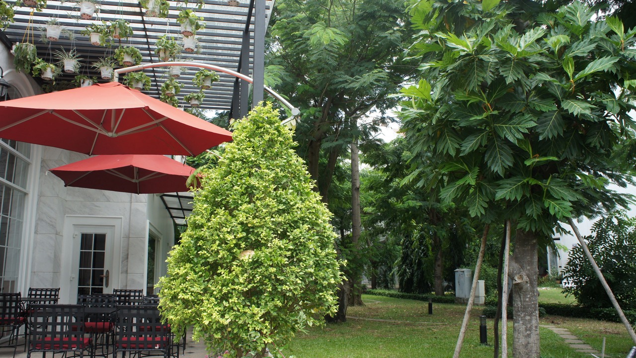 Photo of Outdoor in Phu My Hung